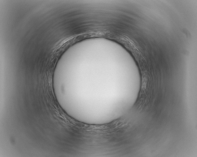 X0000115650773200912011521