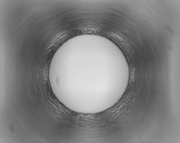 X0000115650774200912011521