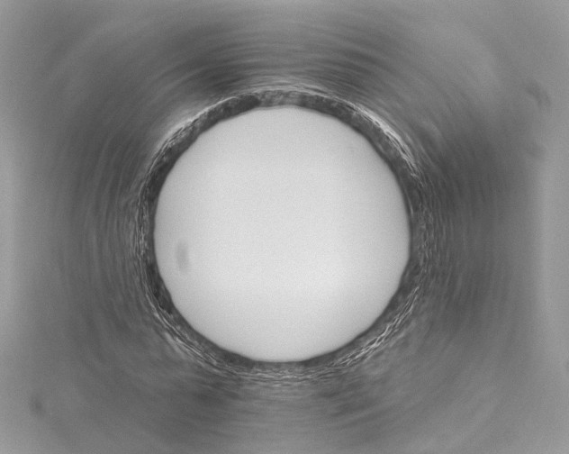 X0000115650775200912011521