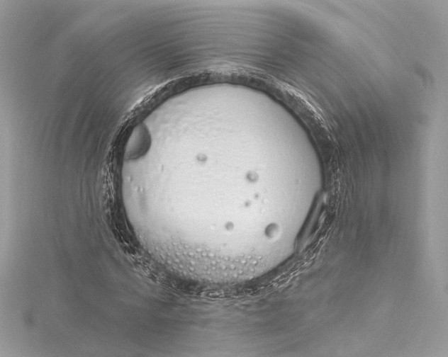 X0000115650776200912011521