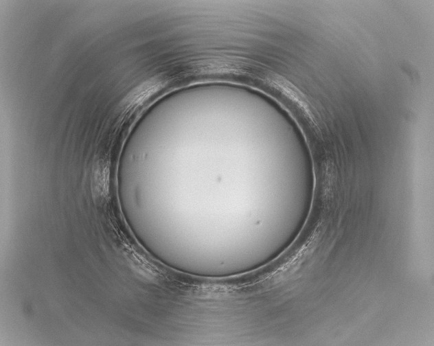 X0000115650777200912011521