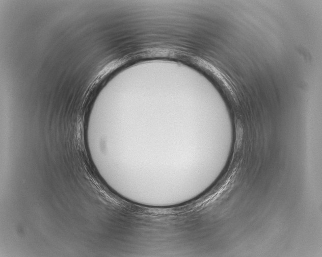 X0000115650778200912011521