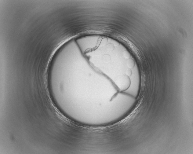 X0000115650779200912011521