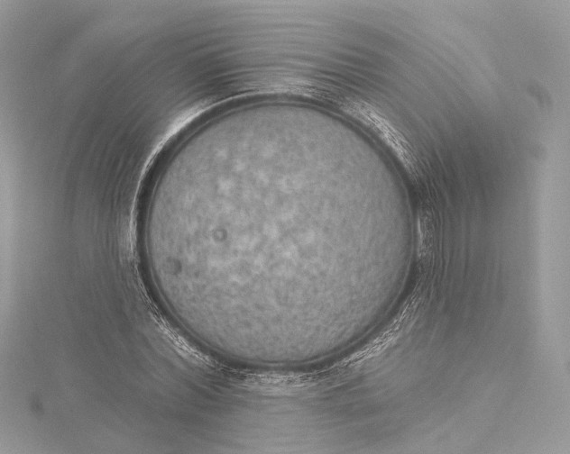 X0000115650780200912011521