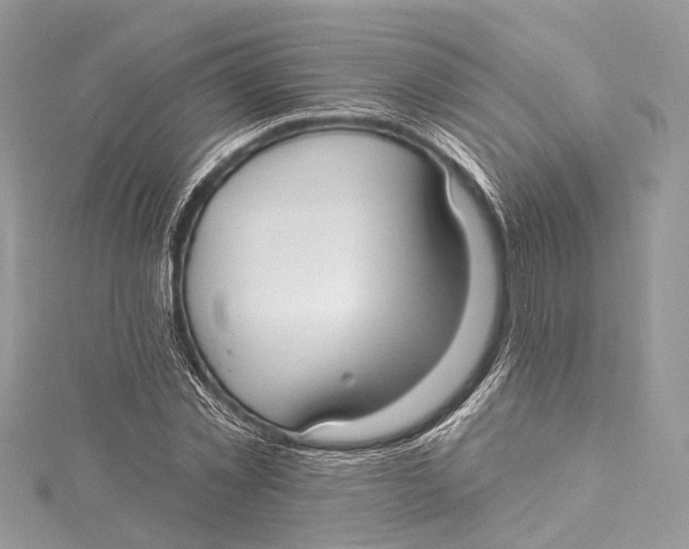 X0000115650781200912011521