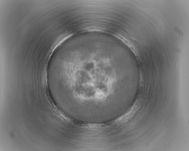 X0000115650782200912011521