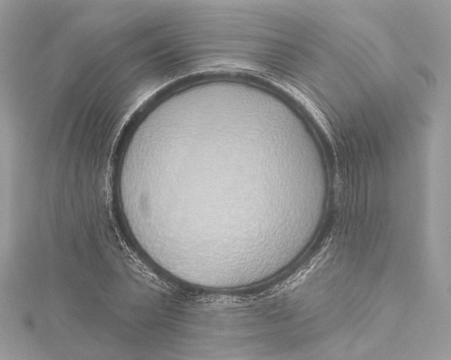 X0000115650783200912011521