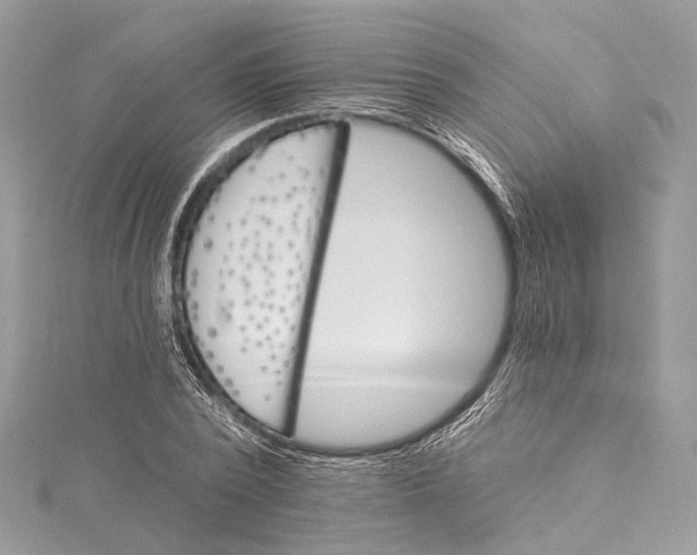 X0000115650784200912011521