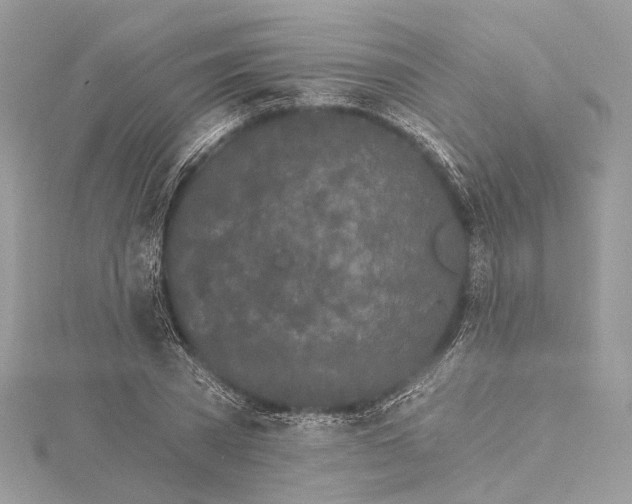 X0000115650785200912011521