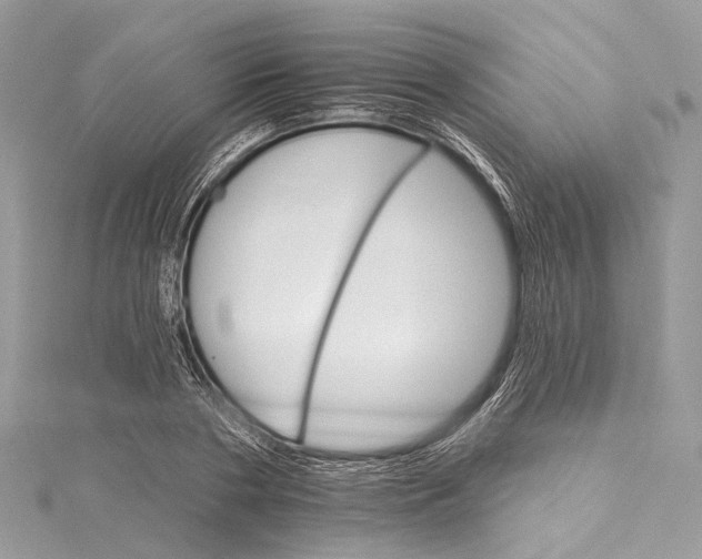 X0000115650786200912011521