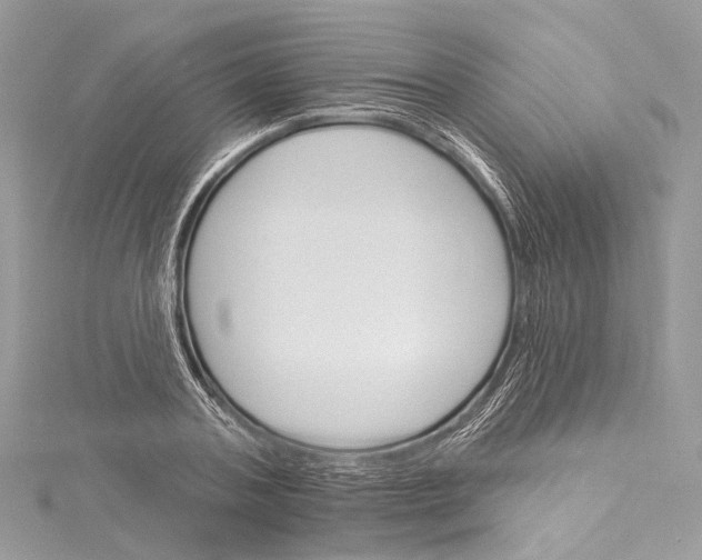 X0000115650787200912011521