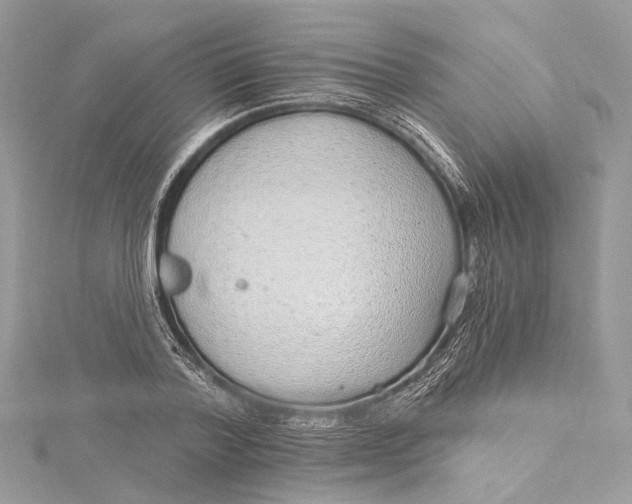 X0000115650788200912011521