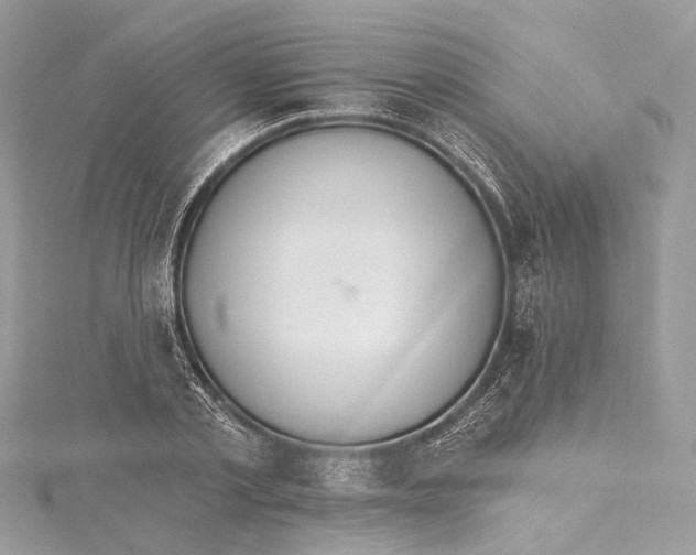 X0000115650789200912011521