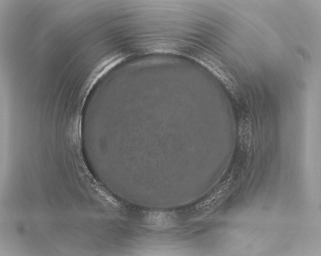 X0000115650790200912011521