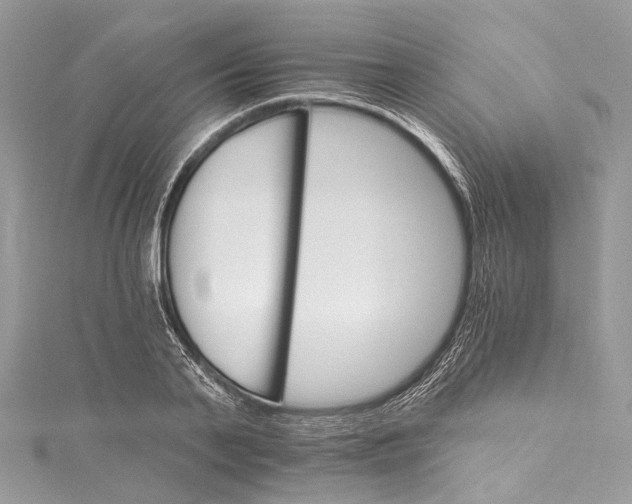 X0000115650791200912011521