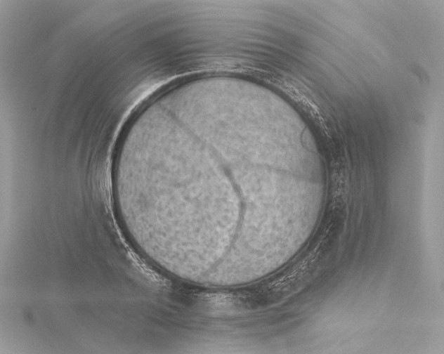 X0000115650792200912011521