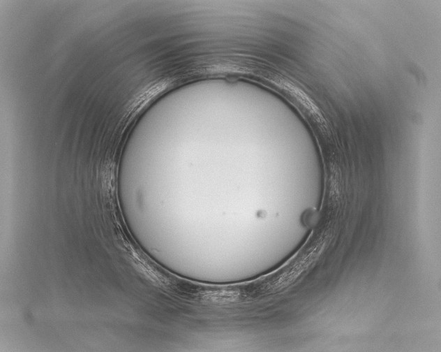 X0000115650793200912011521