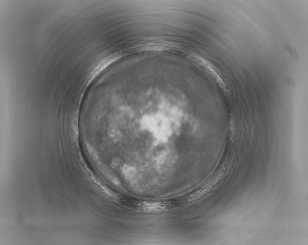 X0000115650794200912011521