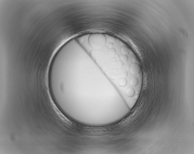 X0000115650795200912011521