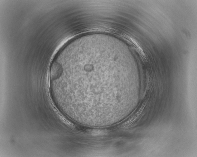 X0000115650796200912011521