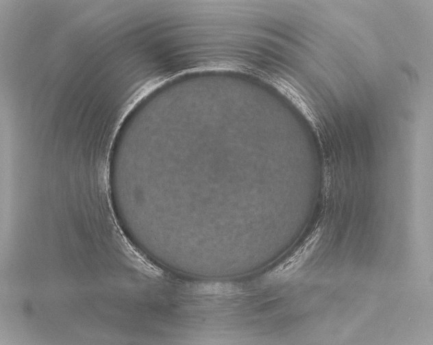 X0000115650797200912011521