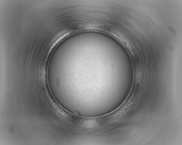 X0000115650798200912011521