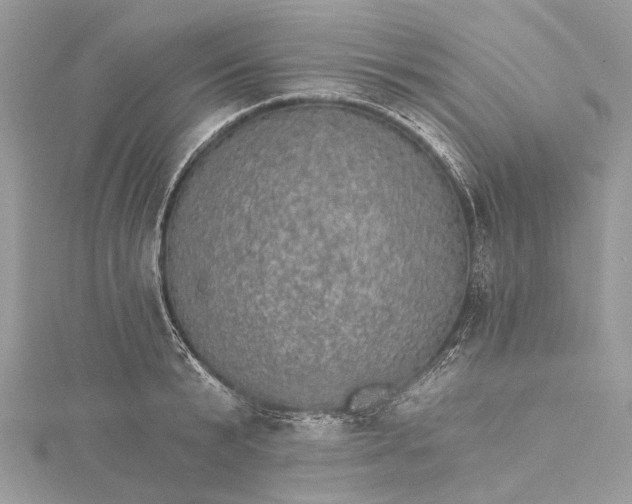 X0000115650799200912011521