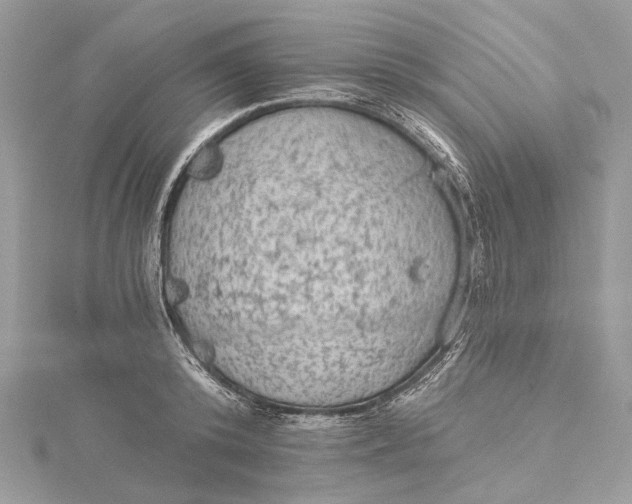 X0000115650800200912011521