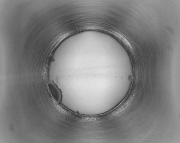 X0000115650801200912011521