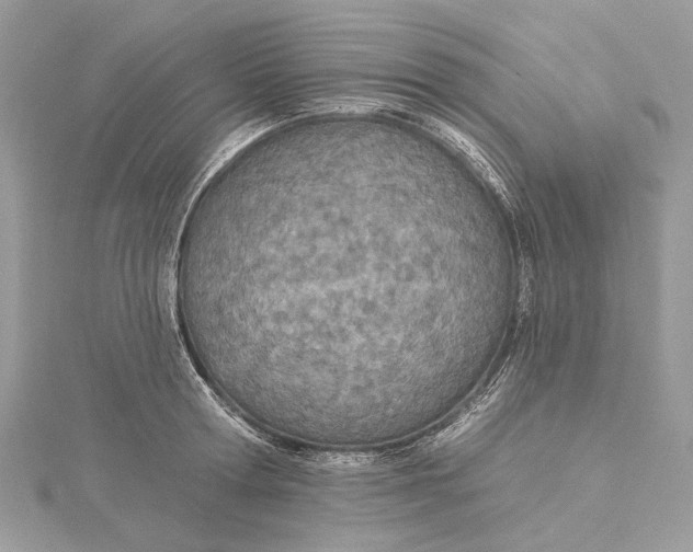 X0000115650802200912011521