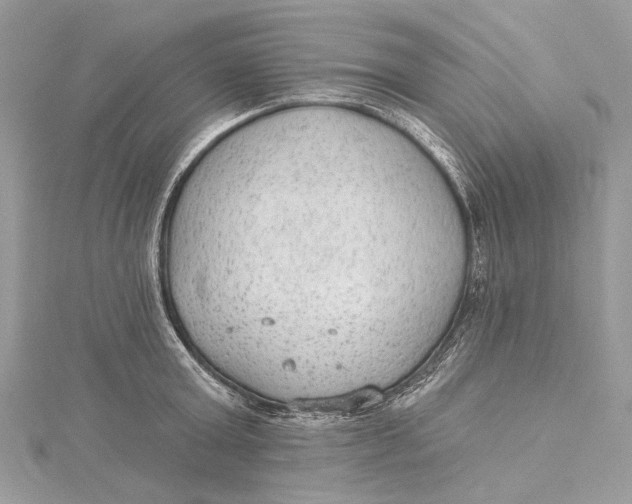 X0000115650803200912011521