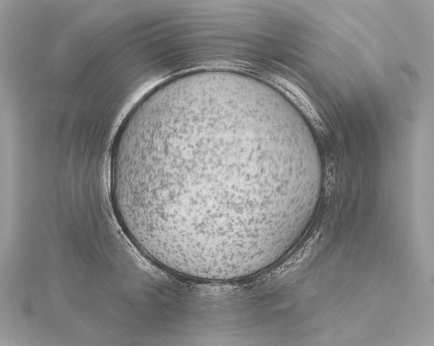 X0000115650804200912011521