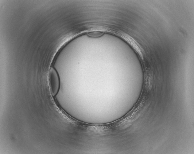 X0000115650805200912011521