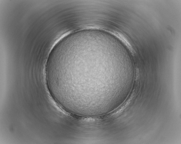 X0000115650806200912011521