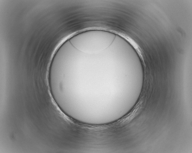 X0000115650807200912011521