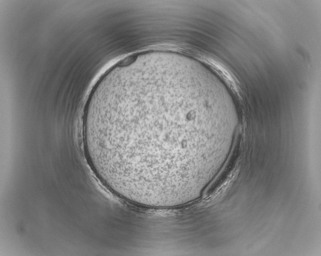 X0000115650808200912011521