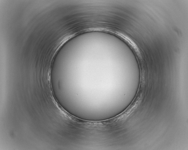 X0000115650809200912011521