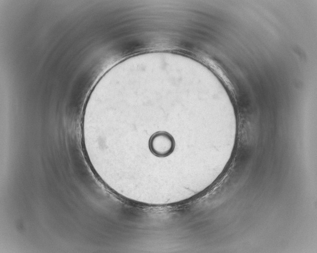 X0000115650810200912011521