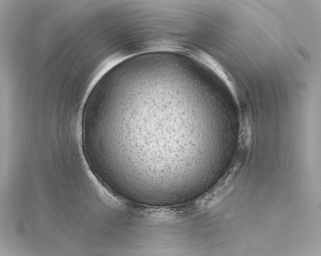 X0000115650811200912011521