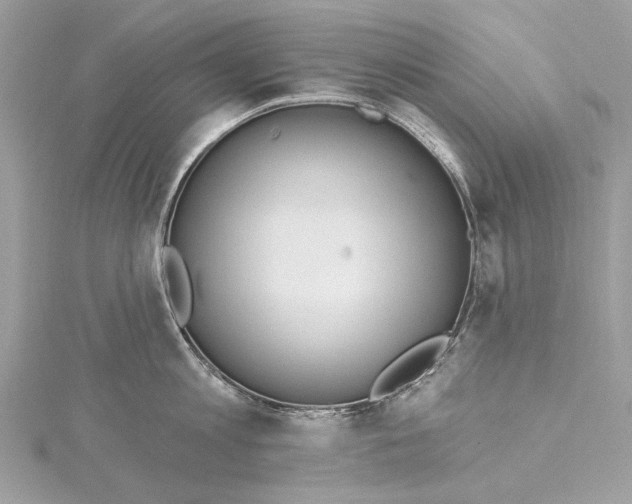 X0000115650813200912011521