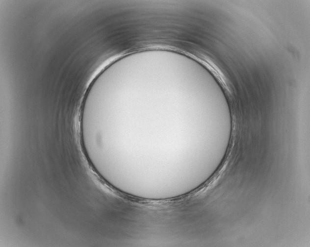 X0000115650814200912011521