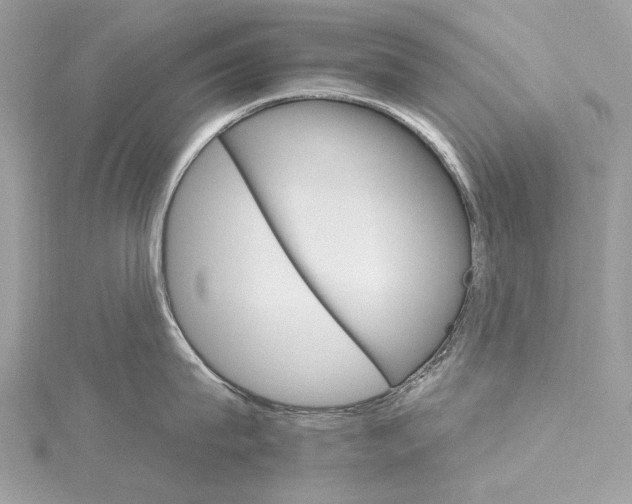 X0000115650815200912011521