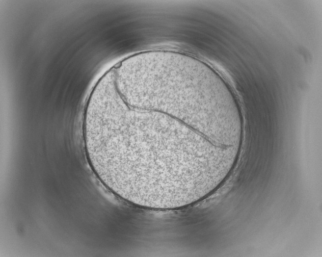 X0000115650816200912011521