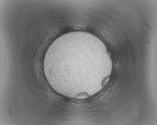 X0000115650817200912011520