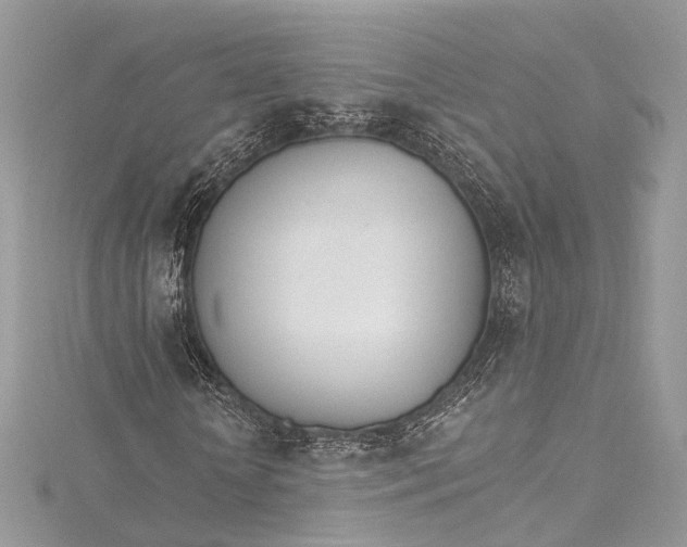 X0000115650818200912011520