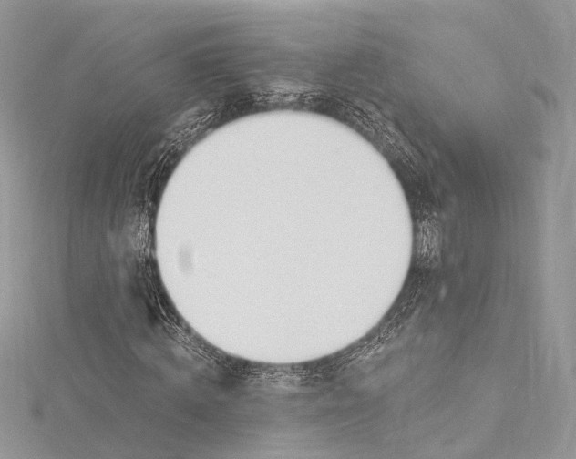 X0000115650820200912011520