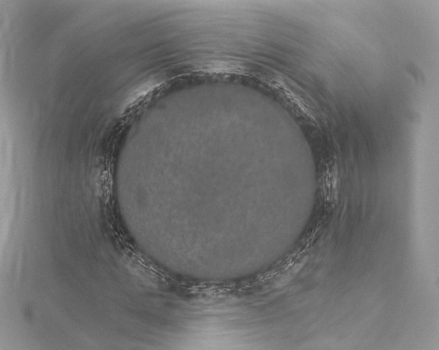 X0000115650821200912011520