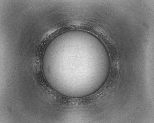 X0000115650822200912011520