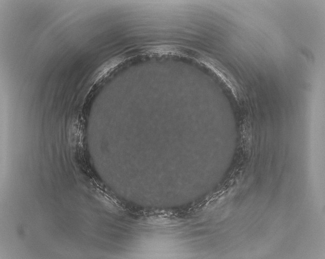 X0000115650823200912011520