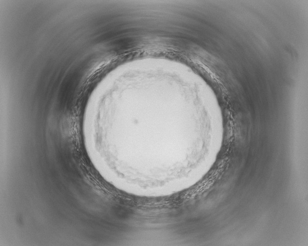 X0000115650824200912011520